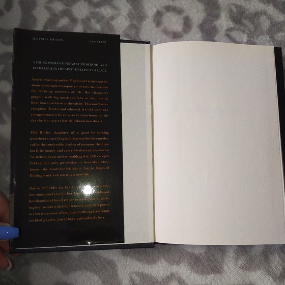 The Bride's Farewell Meg Rosoff historial fiction romance young adult novel - Picture 7 of 8